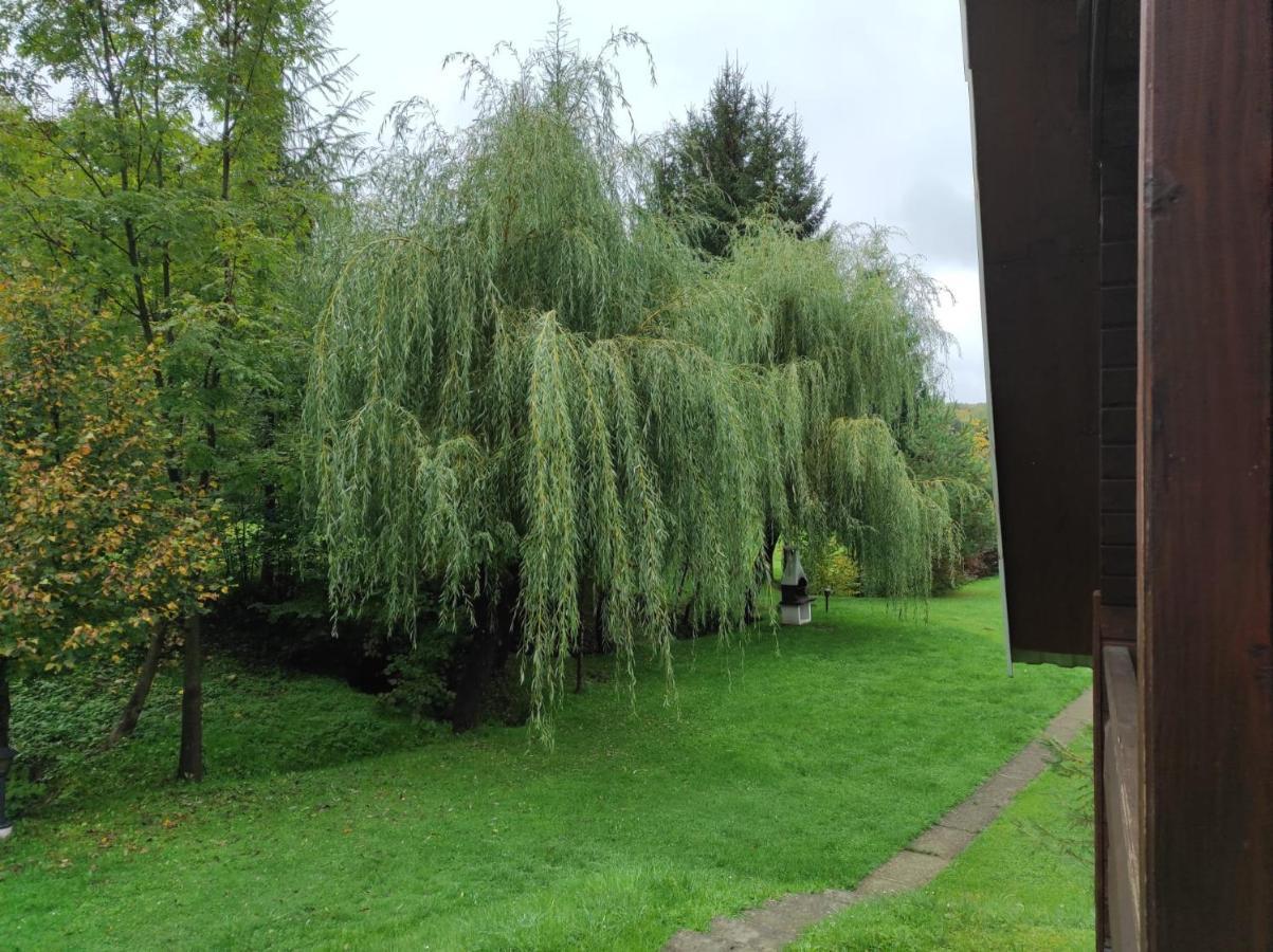 Za Potokiem Villa Solina  Buitenkant foto