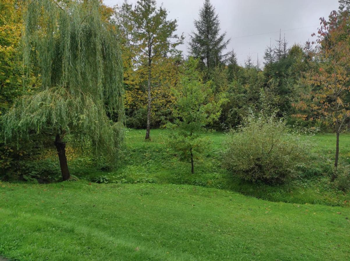 Za Potokiem Villa Solina  Buitenkant foto