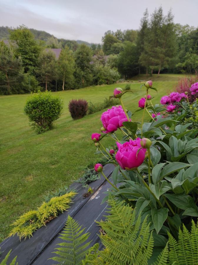 Za Potokiem Villa Solina  Buitenkant foto