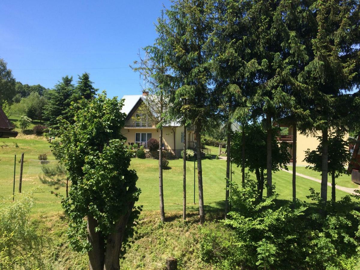 Za Potokiem Villa Solina  Buitenkant foto